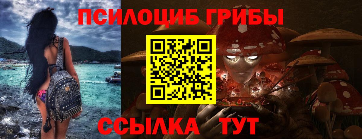 Псилоцибиновые грибы GOLDEN TEACHER  Вход с VPN  Алейск  Галлюциногенные грибы Magic Shrooms 